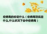 宏病毒的宏是什么（宏病毒到底是什么,什么状况下会中宏病毒）