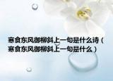 寒食东风御柳斜上一句是什么诗（寒食东风御柳斜上一句是什么）