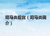 司马炎后宫（司马炎简介）
