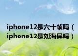 iphone12是六十帧吗（iphone12是刘海屏吗）
