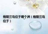 格陵兰岛位于哪个洲（格陵兰岛位于）