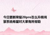 今日更新荣耀20pro怎么升级鸿蒙系统希望对大家有所帮助