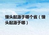 馒头起源于哪个省（馒头起源于哪）