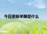 今日更新羊鞭是什么