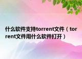 什么软件支持torrent文件（torrent文件用什么软件打开）