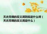 天衣无缝的反义词到底是什么呀（天衣无缝的反义词是什么）