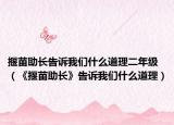 揠苗助长告诉我们什么道理二年级（《揠苗助长》告诉我们什么道理）