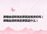 唐朝由盛转衰的原因是杨贵妃吗（唐朝由盛转衰的原因是什么）