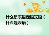 什么是表语定语宾语（什么是表语）