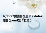 玩dota2需要什么显卡（dota2 用什么amd显卡驱动）