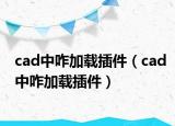 cad中咋加载插件（cad中咋加载插件）