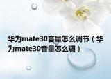 华为mate30音量怎么调节（华为mate30音量怎么调）