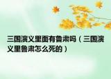 三国演义里面有鲁肃吗（三国演义里鲁肃怎么死的）