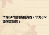 华为gt2如何辨别真伪（华为gt2如何装微信）