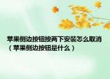 苹果侧边按钮按两下安装怎么取消（苹果侧边按钮是什么）