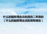 什么的翅膀填合适的词语二年级的（什么的翅膀填合适的词有哪些）