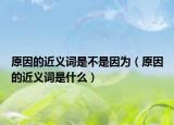原因的近义词是不是因为（原因的近义词是什么）
