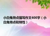 小白兔特点描写作文400字（小白兔特点和特性）