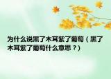 为什么说黑了木耳紫了葡萄（黑了木耳紫了葡萄什么意思 ?）