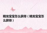 精龙宝宝怎么获得（精龙宝宝怎么获得）