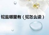 铊盐哪里有（铊怎么读）