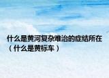 什么是黄河复杂难治的症结所在（什么是黄标车）