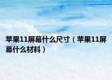 苹果11屏幕什么尺寸（苹果11屏幕什么材料）