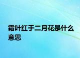 霜叶红于二月花是什么意思