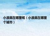 小浪底在哪里呢（小浪底在哪里个城市）