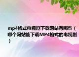 mp4格式电视剧下载网站有哪些（哪个网站能下载MP4格式的电视剧）