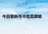 今日更新寻寻觅觅原唱