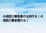 小说的三要素是什么和什么（小说的三要素是什么）