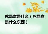 冰晶盒是什么（冰晶盒是什么东西）