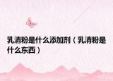 乳清粉是什么添加剂（乳清粉是什么东西）
