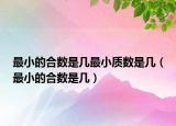 最小的合数是几最小质数是几（最小的合数是几）