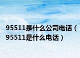95511是什么公司电话（95511是什么电话）