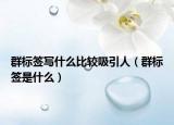 群标签写什么比较吸引人（群标签是什么）