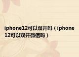 iphone12可以双开吗（iphone12可以双开微信吗）