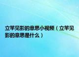 立竿见影的意思小视频（立竿见影的意思是什么）