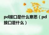 pd接口是什么意思（pd接口是什么）