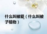 什么叫被爱（什么叫被子植物）