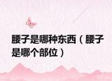 腰子是哪种东西（腰子是哪个部位）