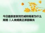 今日最新更新刘恺威和杨幂为什么离婚 二人离婚真正原因曝光