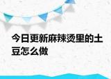 今日更新麻辣烫里的土豆怎么做