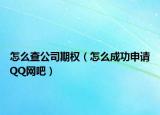 怎么查公司期权（怎么成功申请QQ网吧）