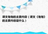课文匆匆的主要内容（课文《匆匆》的主要内容是什么）
