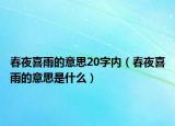 春夜喜雨的意思20字内（春夜喜雨的意思是什么）