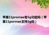 苹果11promax有5g功能吗（苹果11pormax支持5g吗）