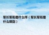 军长军衔是什么样（军长军衔是什么级别）