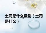 土司是什么级别（土司是什么）